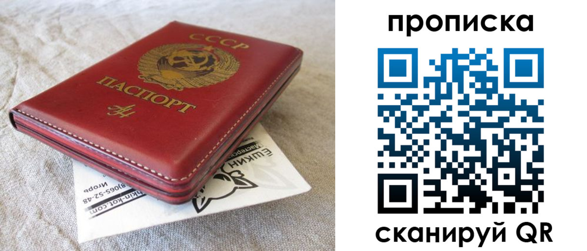 прописка для школы в Мариинском Посаде